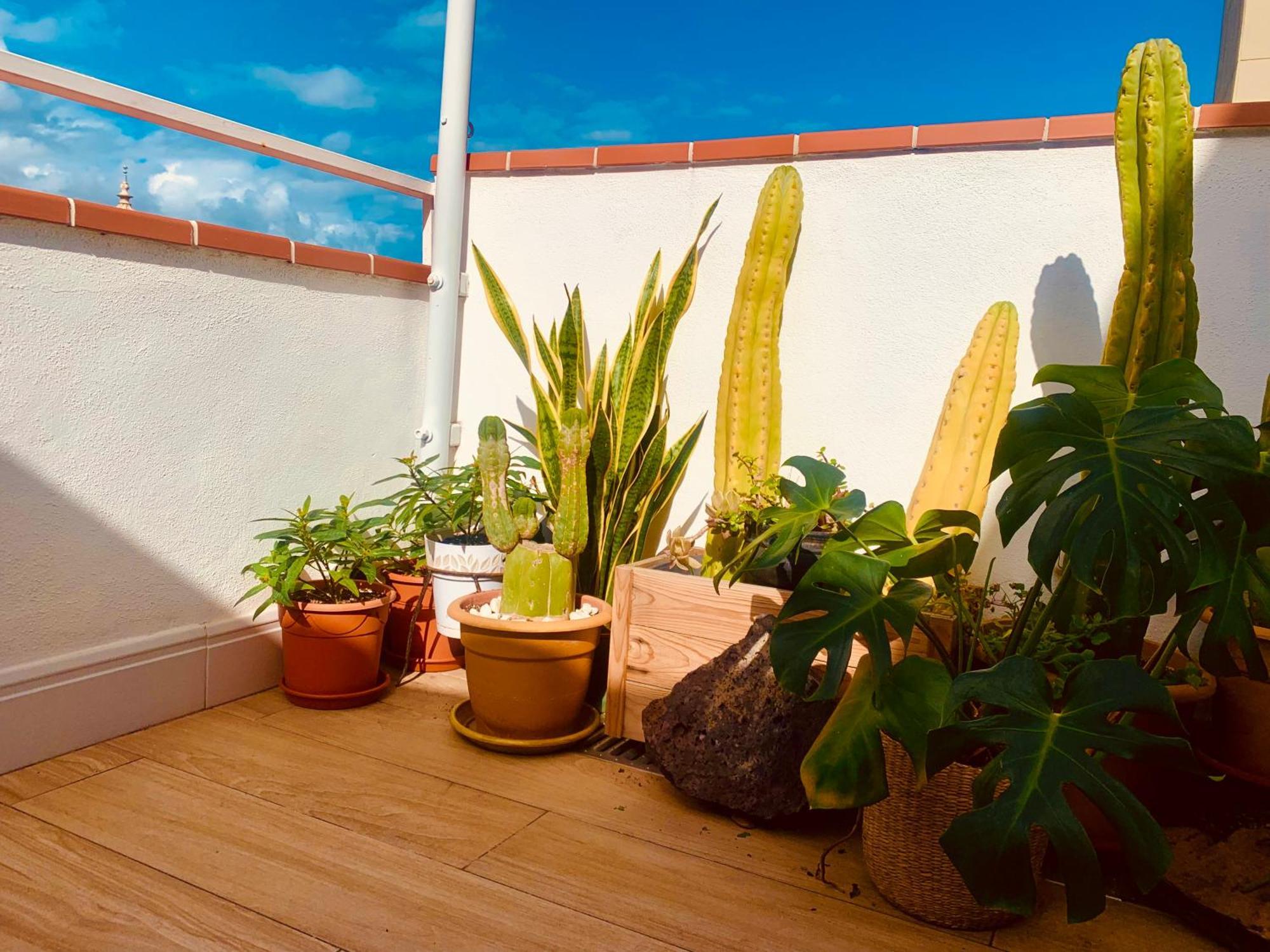 サンタクルスデテネリフェAtico Con Terraza, Vistas Panoramicas Y Parkingアパートメント エクステリア 写真